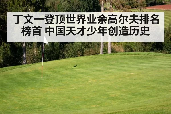 丁文一登顶世界业余高尔夫排名榜首 中国天才少年创造历史